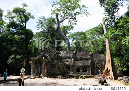 tourist travel at Ta prohm temple tourist travel at Ta prohm temple 46815853