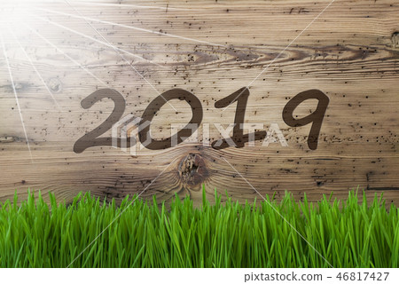 Sunny Wooden Background, Gras, Text 2019 Sunny Wooden Background, Gras, Text 2019 46817427