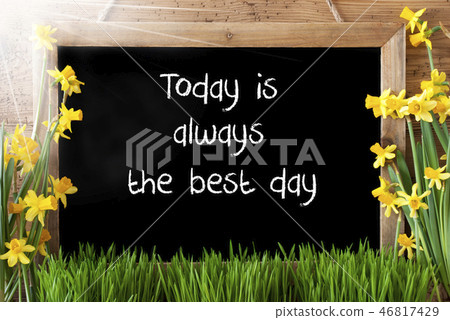 Sunny Spring Narcissus, Today Is The Best Day Sunny Spring Narcissus, Today Is The Best Day 46817429