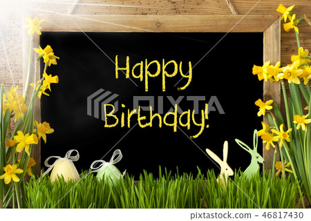 Sunny Narcissus, Easter Egg, Bunny, Happy Birthday Sunny Narcissus, Easter Egg, Bunny, Happy Birthday 46817430