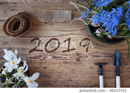Blue And White Spring Flowers, Text 2019 Blue And White Spring Flowers, Text 2019 46817431