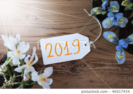 Sunny Flowers, Label, Text 2019 Sunny Flowers, Label, Text 2019 46817434