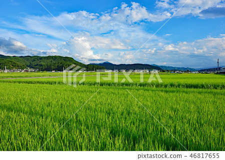 Railroad Trip Koumi Line Ryuoka Castle Railroad Trip Koumi Line Ryuoka Castle 46817655