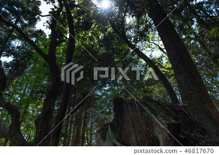 在山上 在山上 46817670