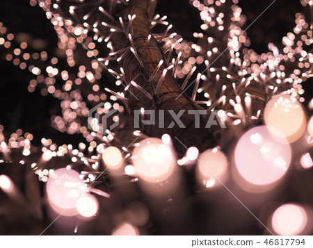 Marunouchi Nakadori Illuminations 46817794