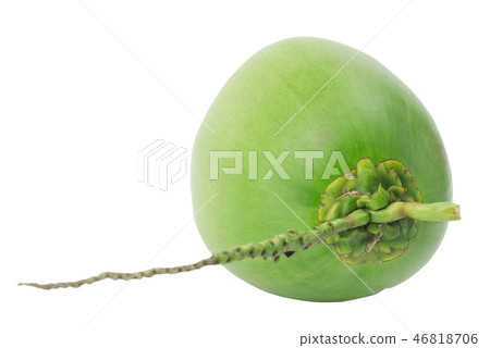 Green coconut isolated on white background Green coconut isolated on white background 46818706