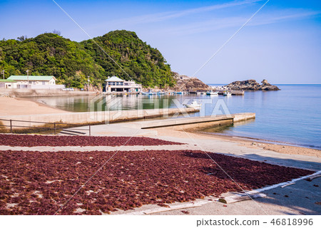 (Shizuoka Prefecture) Nishiizu Unmi fishing port, sun-dried by Tengusa (Shizuoka Prefecture) Nishiizu Unmi fishing port, sun-dried by Tengusa 46818996