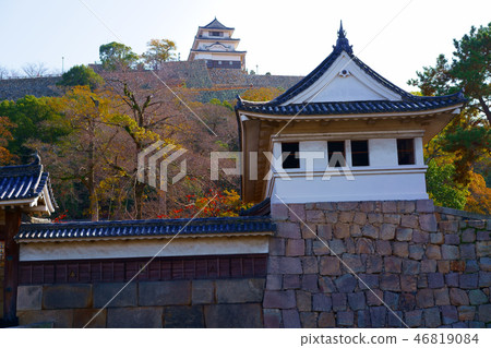從Marugame Castle Lower 46819084