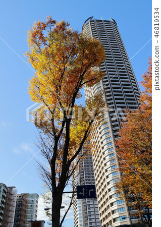 Musashi Kosugi Station秋葉前面的風景 46819534