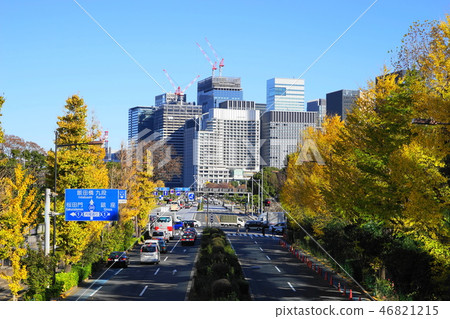 December Hibiya Park 68 Ginkgo Namiki yellow leaves 46821215