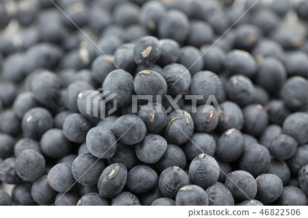 Black soybean 46822506