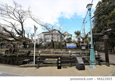 Hasunuma河 Hasunuma河 46822605
