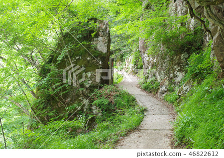 The promenade of the verdant valley The promenade of the verdant valley 46822612