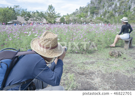 Cosmos flower field Cosmos flower field 46822701