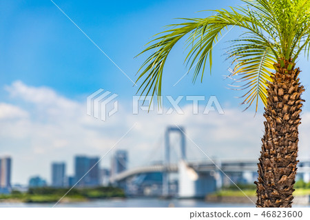 儲蓄照片，夏天，短劇，餃子，南國，第1部分 46823600