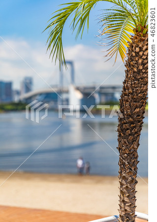 Stock Photos, summer, skits, dumplings, southern country, part 2 Stock Photos, summer, skits, dumplings, southern country, part 2 46823601