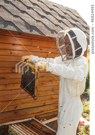 beekeeper pulls out from the hive a wooden frame beekeeper pulls out from the hive a wooden frame 46824493