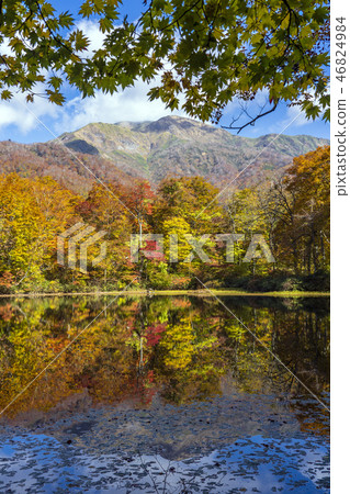 Hakusan National Park in the autumn-Koriage Pond Hakusan National Park in the autumn-Koriage Pond 46824984