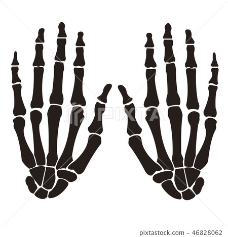 Hand bone Hand bone 46828062