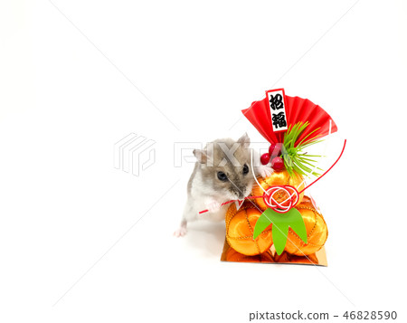 新年賀卡圖片 46828590