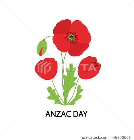 ANZAC DAY. Bouquet of poppy flowers. Vector illustration 46830661