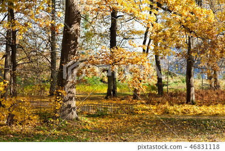Monrepos Park in Vyborg in the Indian summer. 46831118