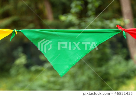 Green flag from a garland in the park Green flag from a garland in the park 46831435