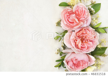 Pink roses on blooming flowers festive background Pink roses on blooming flowers festive background 46831518