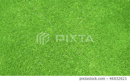 Green grass background Green grass background 46832621