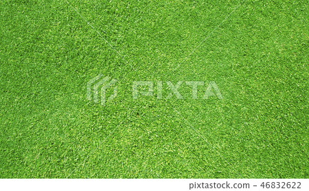 Green grass background Green grass background 46832622