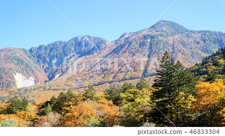 Autumn leaves of Okuhida 46833304