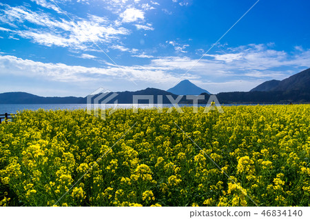 池田湖強姦領域 46834140