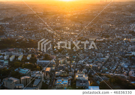 "Kanagawa Prefecture" Evening view of Yokohama city and residential area "Kanagawa Prefecture" Evening view of Yokohama city and residential area 46836330