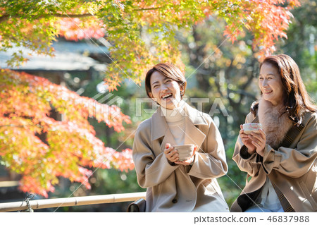 Autumn autumn leaves Mother daughter parent and child Matcha image 46837988