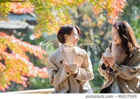 Autumn autumn leaves Mother daughter parent and child Matcha image 46837989
