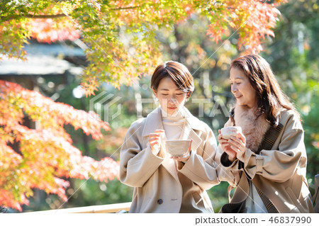 Autumn autumn leaves Mother daughter parent and child Matcha image 46837990