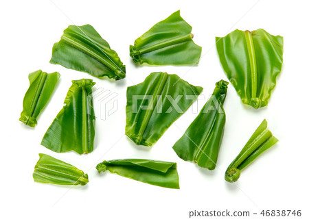 Otaniwatari Otaniwatari 46838746