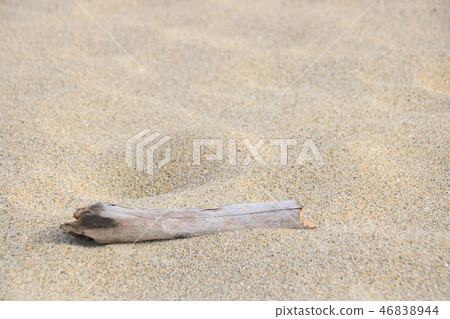 Driftwood on the sandy beach. 46838944