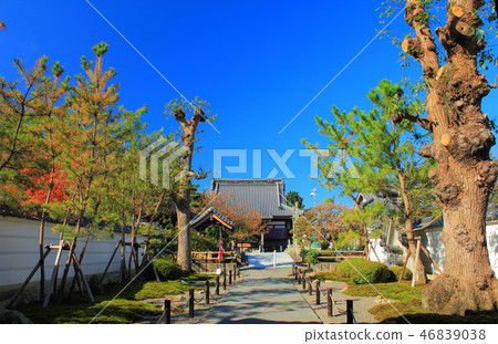 四國Reijo寺 四國Reijo寺 46839038