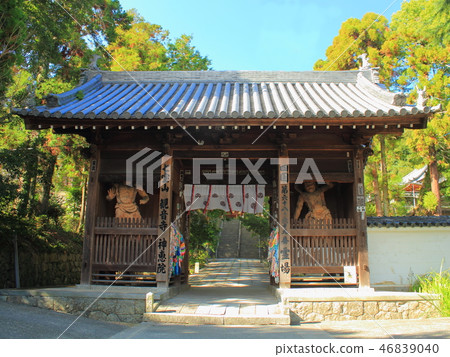 Shikoku Reijo“Kongen-in Kannonji Temple”Inoumon Shikoku Reijo“Kongen-in Kannonji Temple”Inoumon 46839040