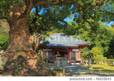 四國Reijo觀音寺大廳 46839043