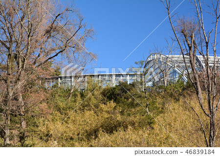 Tama Animal Park 46839184