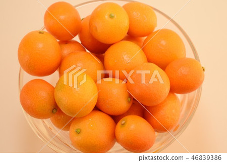 Kumquat 46839386