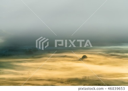 beautiful color on the mist in the field 46839653