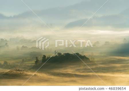 beautiful color on the mist in the field 46839654