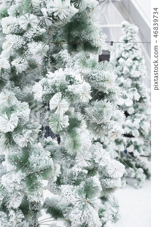 Girl in the garden of artificial snow Girl in the garden of artificial snow 46839734