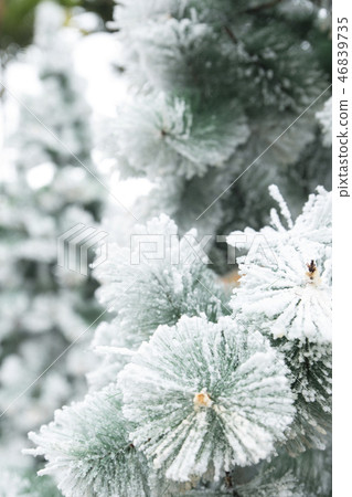 Girl in the garden of artificial snow Girl in the garden of artificial snow 46839735