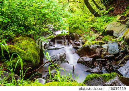 箱根，飛龍瀑布 46839839