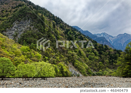 Kamokugatake Pass Line of snow remaining seen from fresh green Todai River 46840479