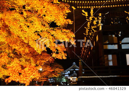 Myojin Temple Autumn leaves 2018 46841329